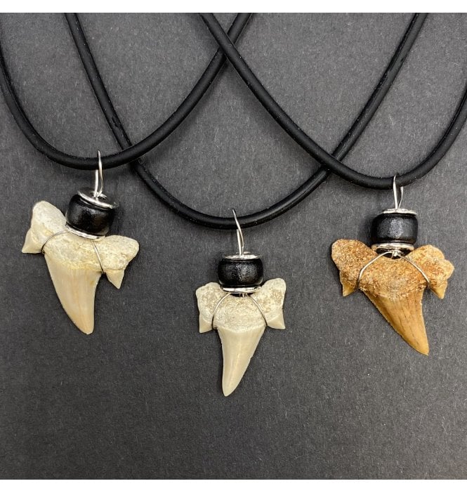 Eocene Shark Tooth Necklace from Morocco (SKU G79)