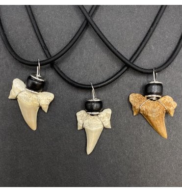 Eocene Shark Tooth Necklace from Morocco (SKU G79)
