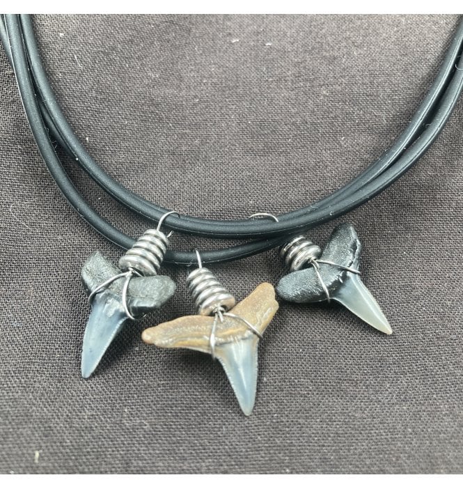 Eocene Shark Tooth Necklace (SKU G52)