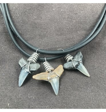 Eocene Shark Tooth Necklace (SKU G52)