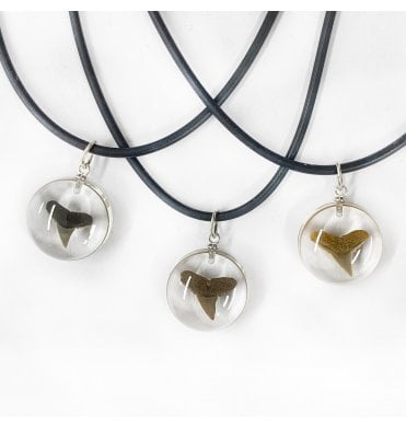 Eocene Shark Tooth Necklace (SKU G80)