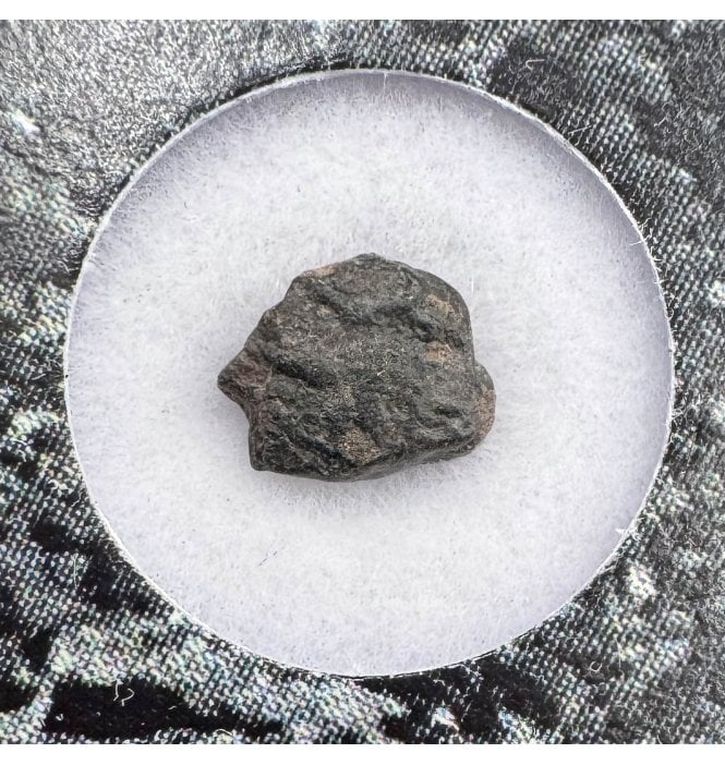 Evidence of Panspermia? <0.001g CV3 Carbonaceous Chondrite Meteorite Fragment (SKU M1801)