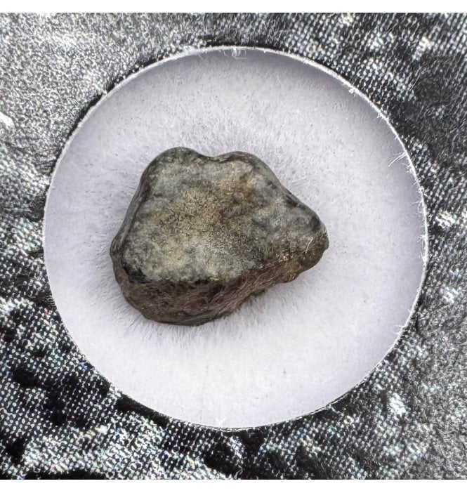 Evidence of Panspermia? <0.001g CV3 Carbonaceous Chondrite Meteorite Fragment (SKU M1804)