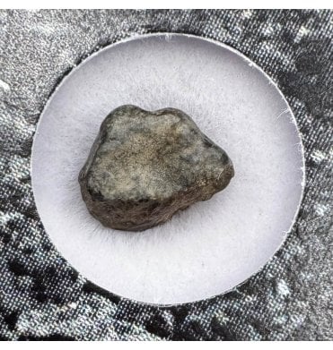 Evidence of Panspermia? <0.001g CV3 Carbonaceous Chondrite Meteorite Fragment (SKU M1804)