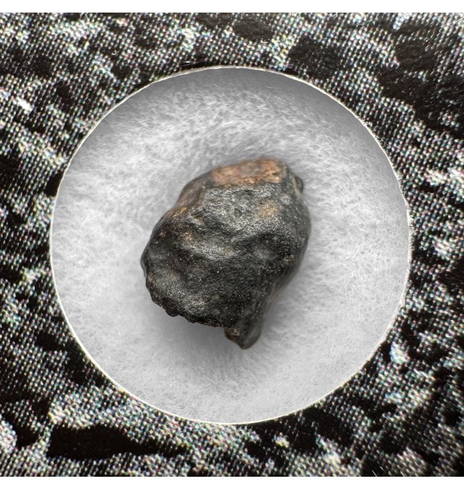 Evidence of Panspermia? <0.001g CV3 Carbonaceous Chondrite Meteorite Fragment (SKU M2534)