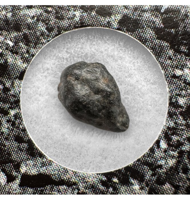 Evidence of Panspermia? <0.001g CV3 Carbonaceous Chondrite Meteorite Fragment (SKU M2535)