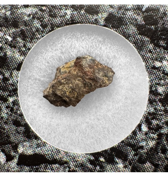 Evidence of Panspermia? <0.001g CV3 Carbonaceous Chondrite Meteorite Fragment (SKU M2538)