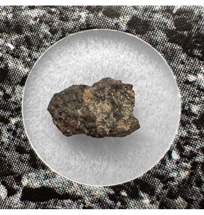 Evidence of Panspermia? <0.001g CV3 Carbonaceous Chondrite Meteorite Fragment (SKU M2540)