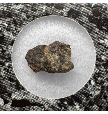 Evidence of Panspermia? <0.001g CV3 Carbonaceous Chondrite Meteorite Fragment (SKU M2540)