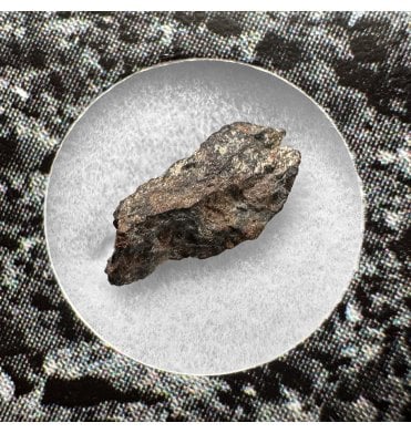 Evidence of Panspermia? <0.001g CV3 Carbonaceous Chondrite Meteorite Fragment (SKU M2542)
