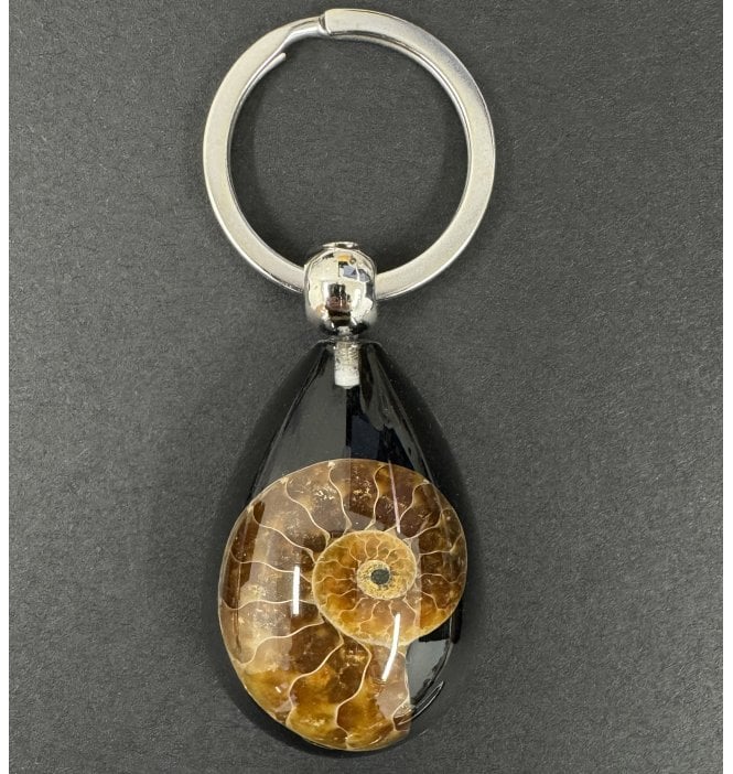 Genuine Middle Cretaceous Ammonite Keyring (SKU G19)