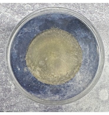 Genuine Moon Dust (SKU M2280)
