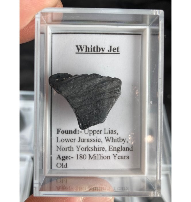 Genuine Whitby Jet (SKU G42)