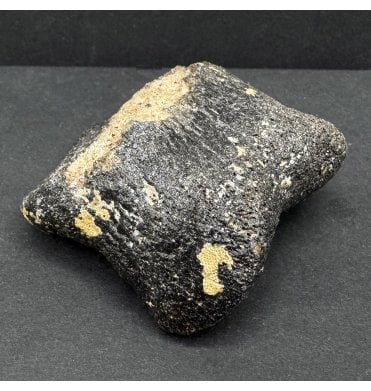 Ice Age Primitive Fossil Horse Toe from the North Sea (SKU V7579):- Equus caballus