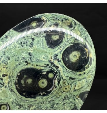 Kambaba Jasper Palmstone (SKU R1610)