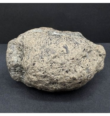 Lower Lias, Lower Jurassic, Ichthyosaur Coprolite from Charmouth, Dorset, England (SKU V8438):- Ichthyosaurus Coprolite