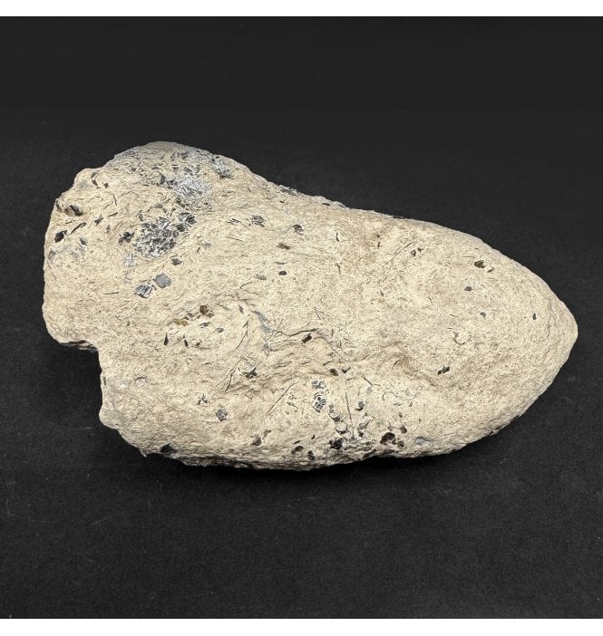 Lower Lias, Lower Jurassic, Ichthyosaur Coprolite from Charmouth, Dorset, England (SKU V8963):- Ichthyosaurus Coprolite