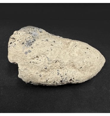 Lower Lias, Lower Jurassic, Ichthyosaur Coprolite from Charmouth, Dorset, England (SKU V8963):- Ichthyosaurus Coprolite