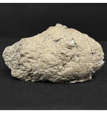 Lower Lias, Lower Jurassic, Ichthyosaur Coprolite from Charmouth, Dorset, England (SKU V8964):- Ichthyosaurus Coprolite