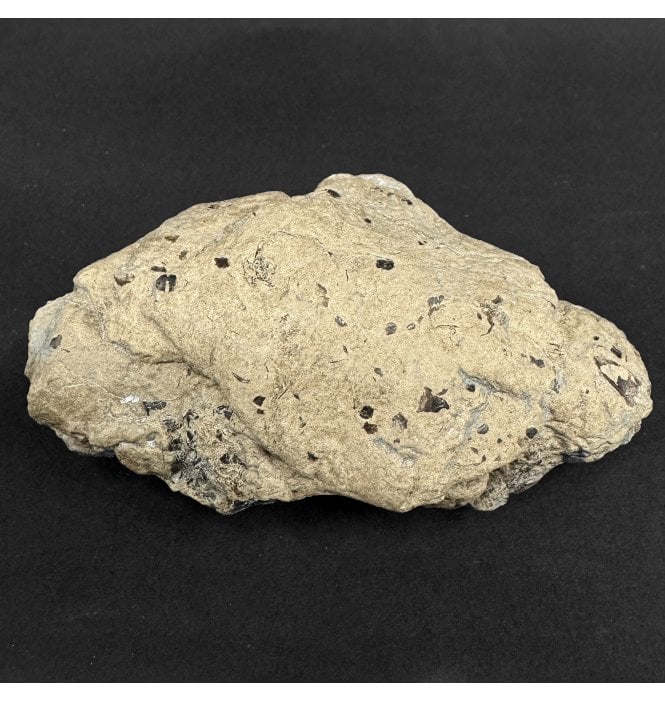 Lower Lias, Lower Jurassic, Ichthyosaur Coprolite from Charmouth, Dorset, England (SKU V9059):- Ichthyosaurus Coprolite