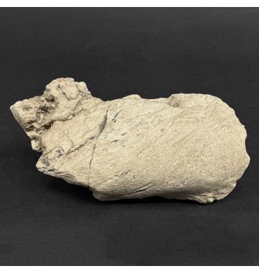 Lower Lias, Lower Jurassic, Ichthyosaur Coprolite from Charmouth, Dorset, England (SKU V9062):- Ichthyosaurus Coprolite
