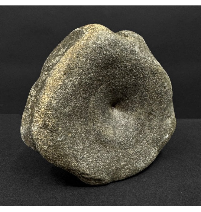 Lower Lias, Lower Jurassic Ichthyosaur Vertebra from Charmouth, Dorset, England (SKU V8978):- Ichthyosaurus communis
