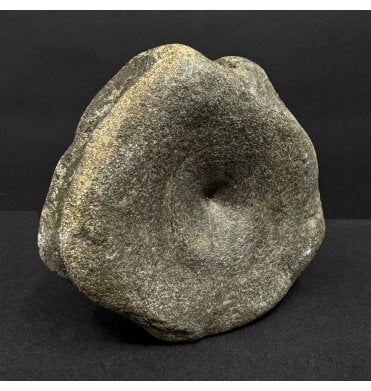 Lower Lias, Lower Jurassic Ichthyosaur Vertebra from Charmouth, Dorset, England (SKU V8978):- Ichthyosaurus communis