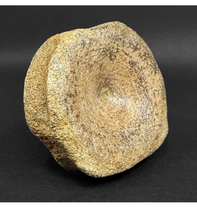 Lower Lias, Lower Jurassic Ichthyosaurus Vertebra from Oxfordshire, England (SKU V9048):- Brachypterigus cf. extremis