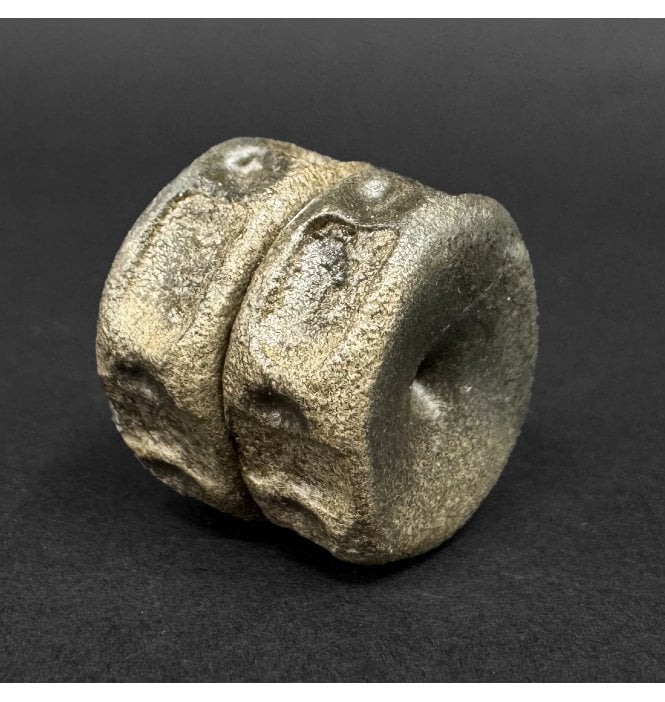 Lower Lias, Lower Jurassic Ichthyosaurus Vertebrae from Dorset, England (SKU V9051):- Ichthyosaurus communis