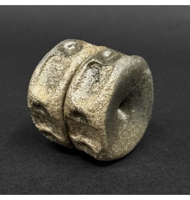 Lower Lias, Lower Jurassic Ichthyosaurus Vertebrae from Dorset, England (SKU V9051):- Ichthyosaurus communis
