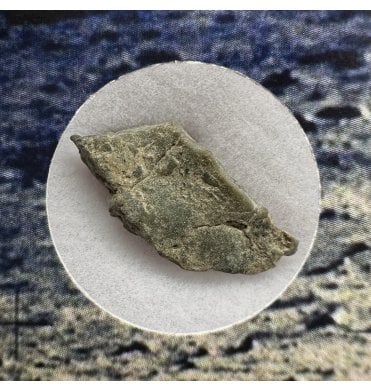 Lunar Meteorite NWA 16372 Troctolitic Anorthosite Meteorite (SKU M2267)