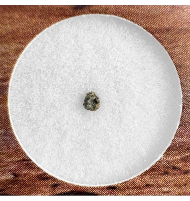 Martian Nakhlite Meteorite NWA 15200 Martian Meteorite (SKU M1862)
