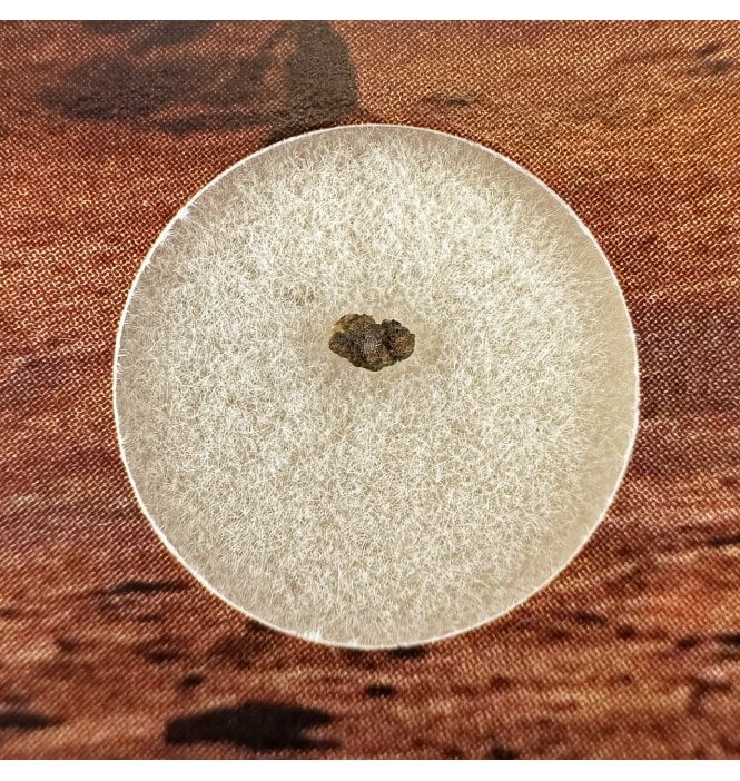 Martian Nakhlite Meteorite NWA 15200 Martian Meteorite (SKU M2117)