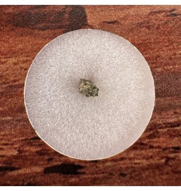 Martian Nakhlite Meteorite NWA 15200 Martian Meteorite (SKU M2361)