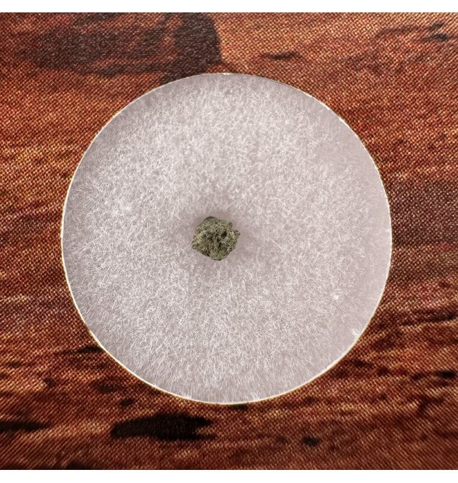 Martian Nakhlite Meteorite NWA 15200 Martian Meteorite (SKU M2369)