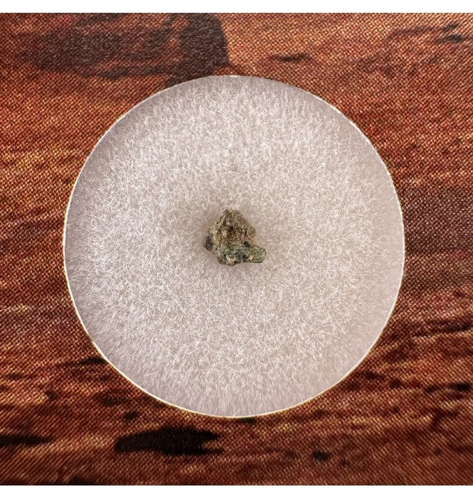 Martian Nakhlite Meteorite NWA 15200 Martian Meteorite (SKU M2372)
