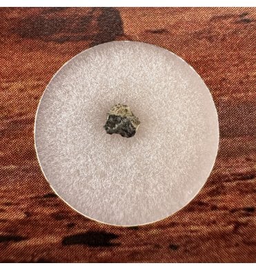 Martian Nakhlite Meteorite NWA 15200 Martian Meteorite (SKU M2374)