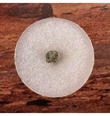 Martian Nakhlite Meteorite NWA 15200 Martian Meteorite (SKU M2375)