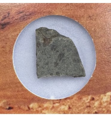 Martian Shergottite Amgala 001 Martian Meteorite (SKU M1920)