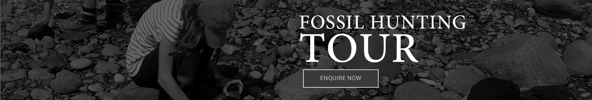 Fossil Hunting Tours