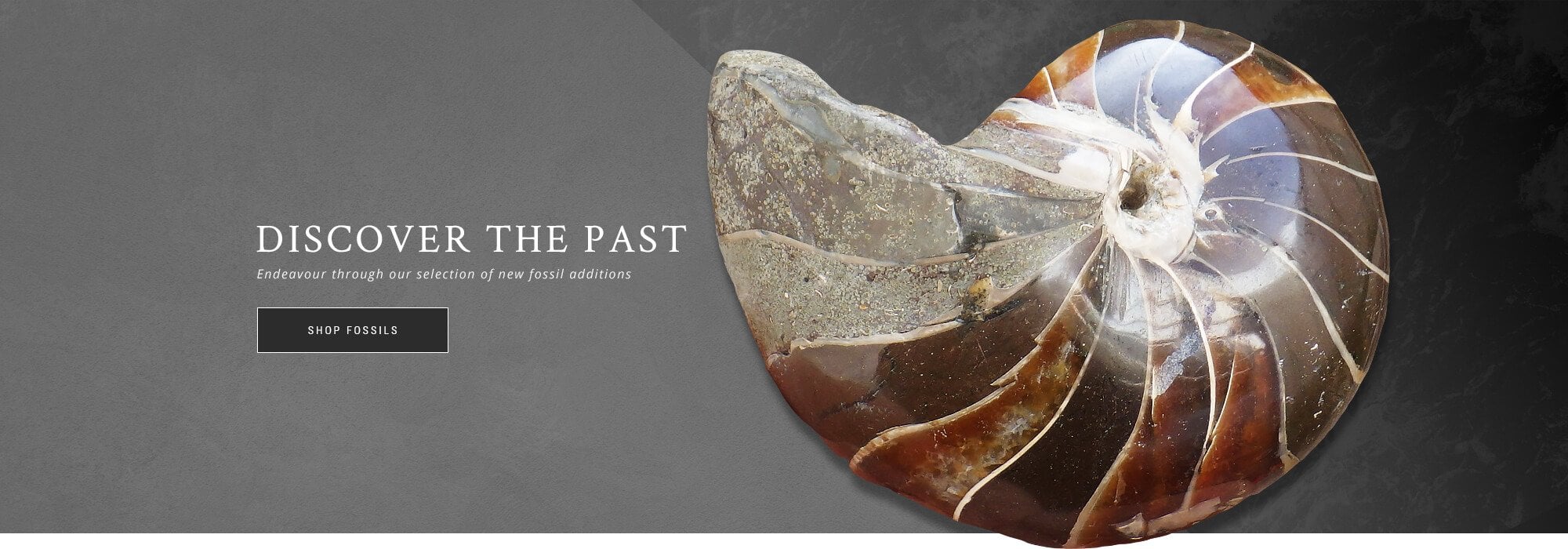 discover the past
