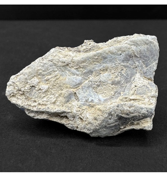 Pteranodon Pterosaur Bone from Kansas, USA (SKU V8669):- Pteranodon longiceps