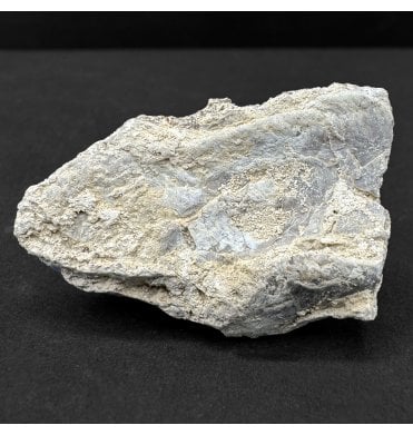 Pteranodon Pterosaur Bone from Kansas, USA (SKU V8669):- Pteranodon longiceps