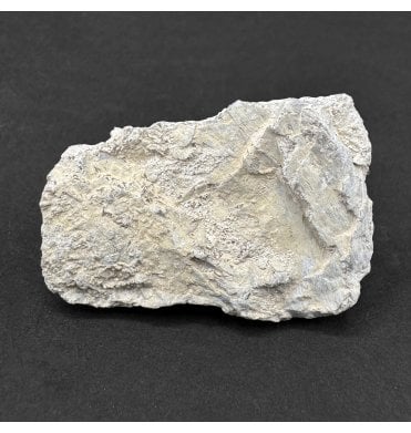 Pteranodon Pterosaur Bone from Kansas, USA (SKU V8671):- Pteranodon longiceps