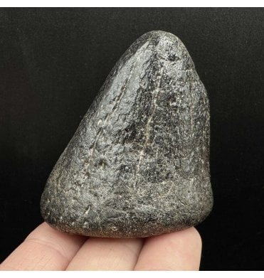 Rare British Cretaceous Dinosaur Ornithopod (Iguanodontid) Thumb Spike from Isle of Wight, England (SKU V6663):- Iguanodontid sp. indet.
