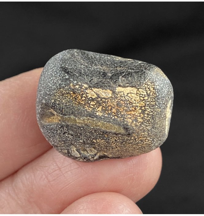 Rare British Cretaceous Dinosaur Vertebra from Isle Of Wight, England (SKU V2992):- Hypsilophodon foxii