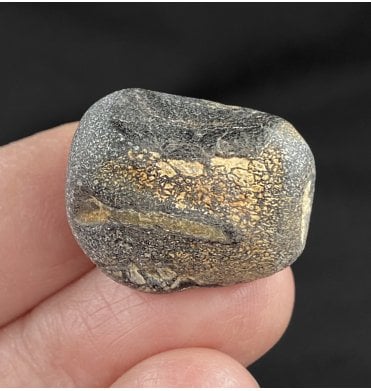 Rare British Cretaceous Dinosaur Vertebra from Isle Of Wight, England (SKU V2992):- Hypsilophodon foxii