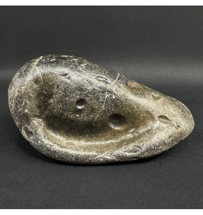 Rare British Fossil Whale Tympanic Bone, Red Crag Formation, Walton-on-the-Naze, Suffolk, England (SKU V9032):- Balaenoptera sp. Indet.