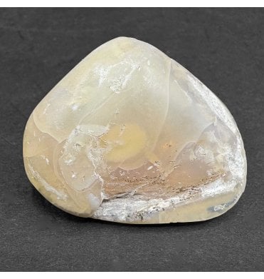 Rare Opalised Cretaceous Fossil Shell from Coober Pedy, South Australia (SKU OF3115):- Cyrenopsis meeki