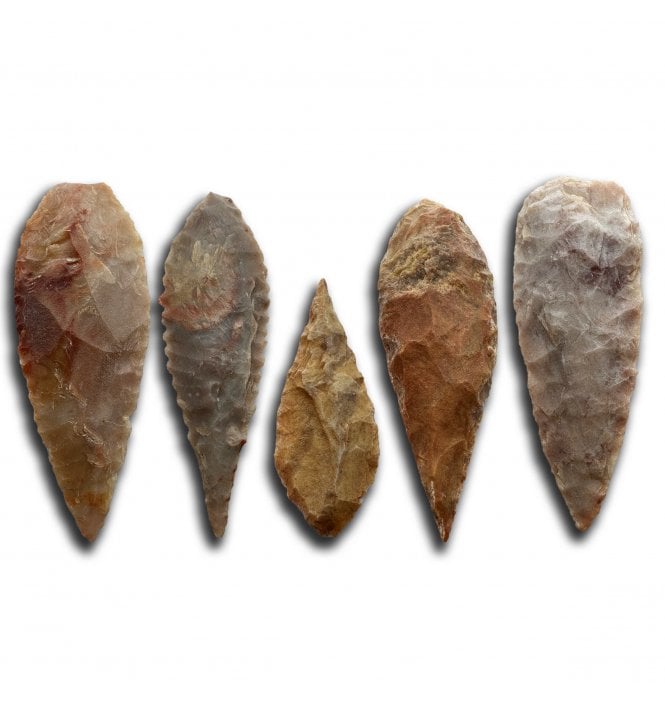 Selection of 5 Neolithic Tenerean Culture Laurel Leaf Shaped Arrowheads found Sahara Desert, Niger, North Africa:- Neolithic Arrowheads (SKU Tool-169)